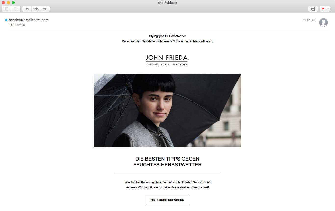 HTML and CSS Newsletter Screenshot